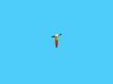 pendarm4.gif
