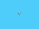pendsho3.gif