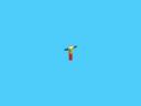 pendsho5.gif
