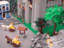 dsc08869.jpg