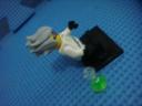 dsc09917.jpg