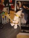 dsc08504.jpg