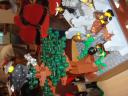 dsc08442.jpg