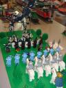 dsc08479.jpg