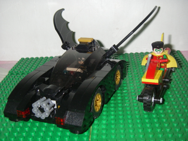 bat_bird1.jpg