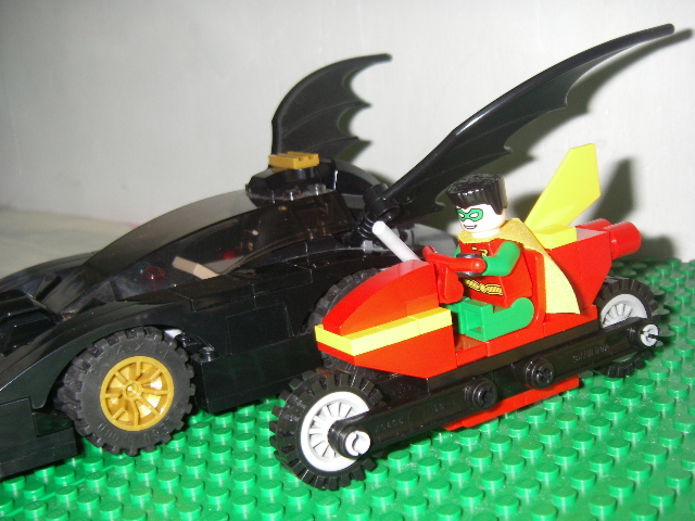 bat_bird2.jpg