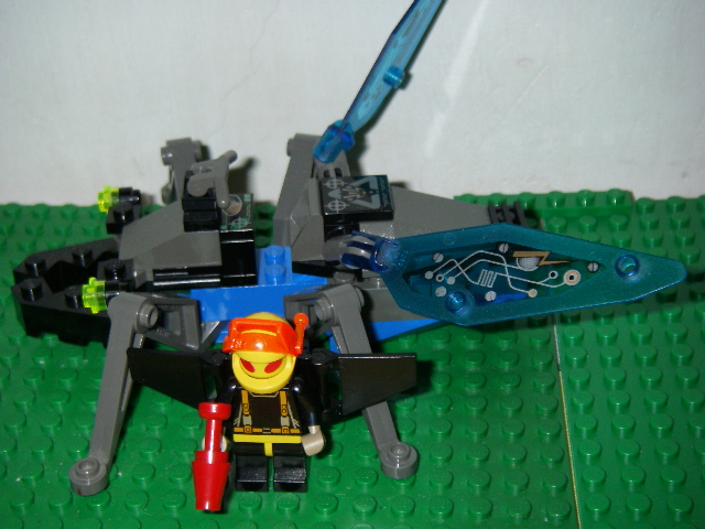 firefly4.jpg