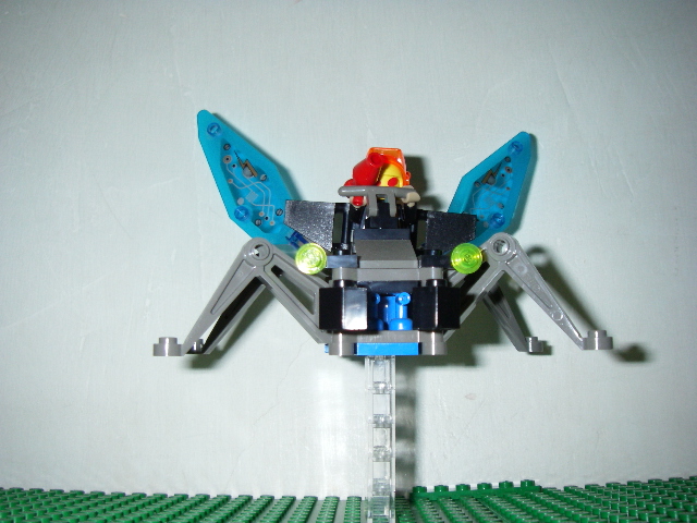 firefly6.jpg