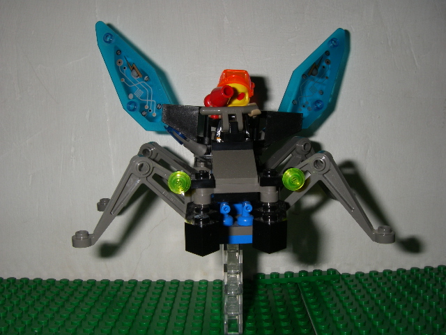 firefly7.jpg