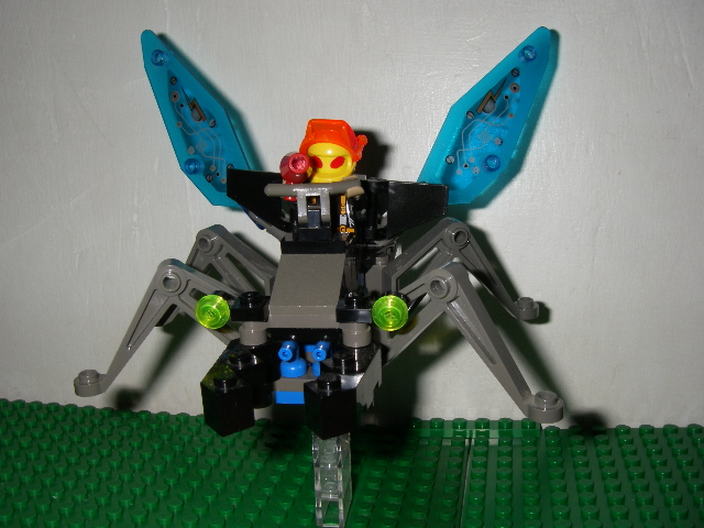 firefly8.jpg