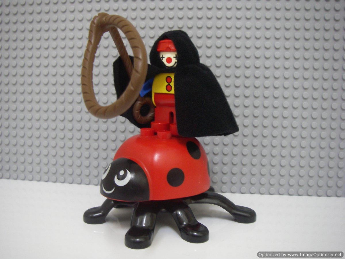imgp3913.jpg