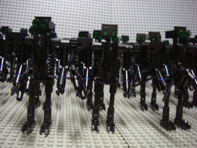imgp4405.jpg