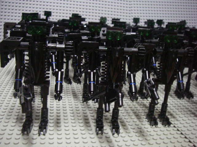 imgp4406.jpg