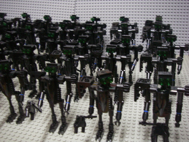 imgp4409.jpg