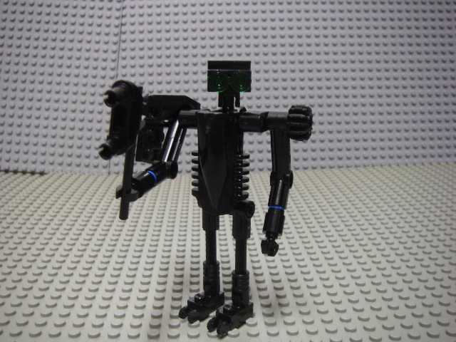 imgp4453.jpg