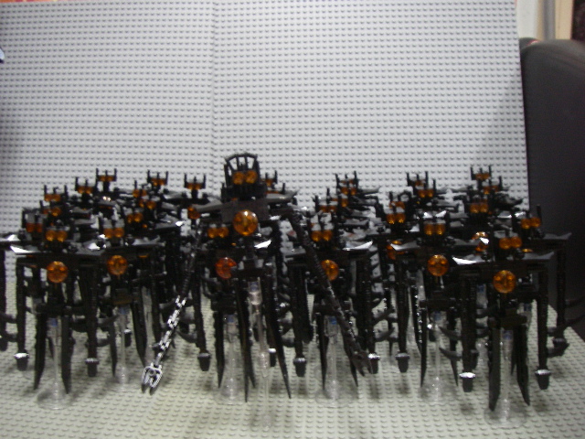 imgp4505.jpg