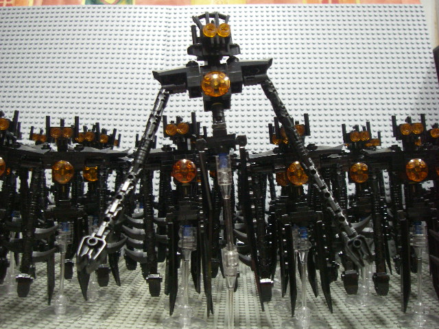 imgp4520.jpg