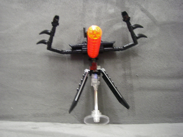 imgp4544.jpg