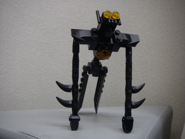 imgp4549.jpg