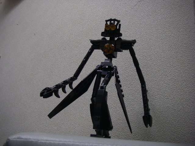 imgp4556.jpg