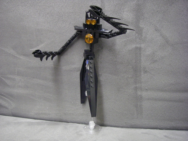 imgp4560.jpg