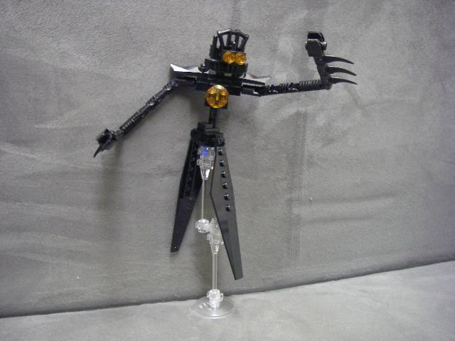 imgp4561.jpg