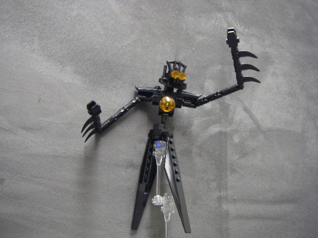 imgp4562.jpg