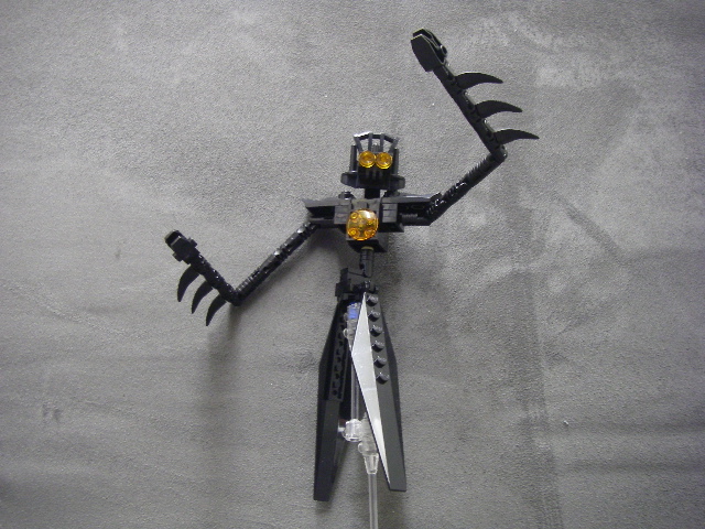 imgp4564.jpg