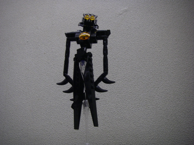 imgp4569.jpg