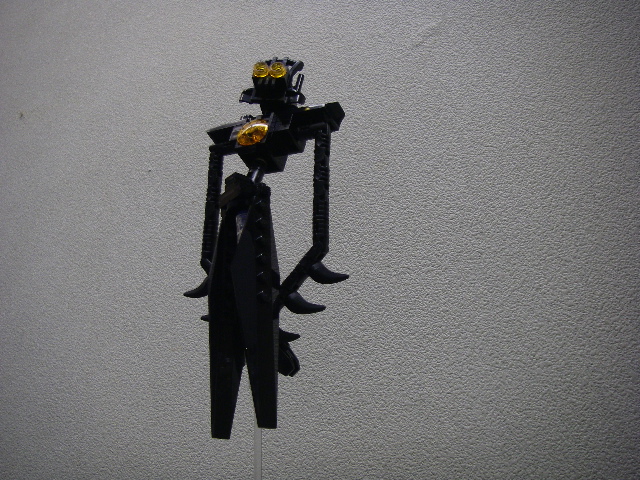 imgp4570.jpg