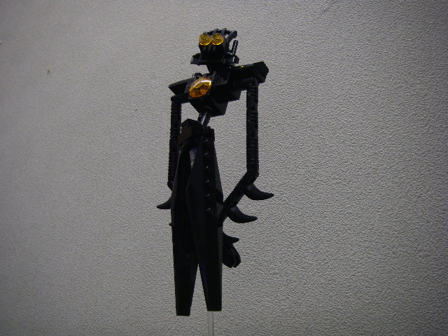 imgp4571.jpg