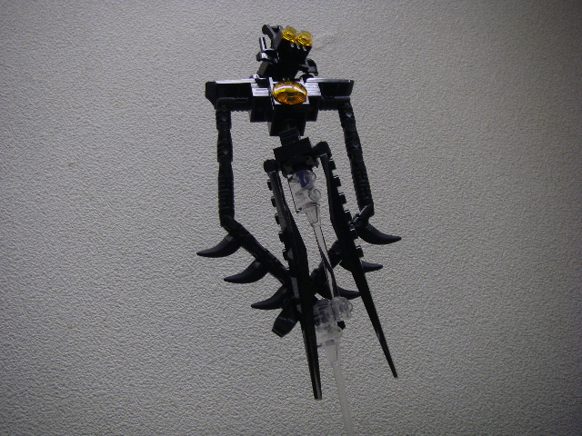 imgp4572.jpg