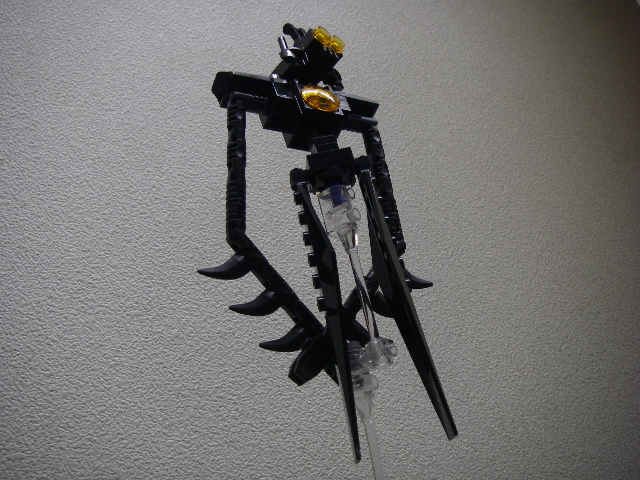imgp4573.jpg