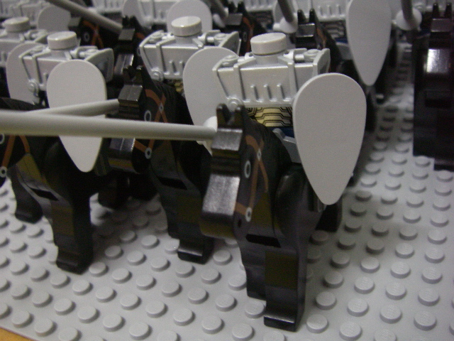 imgp4806.jpg