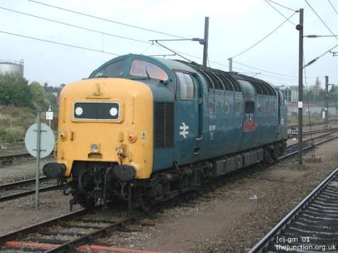 real_55019.jpg