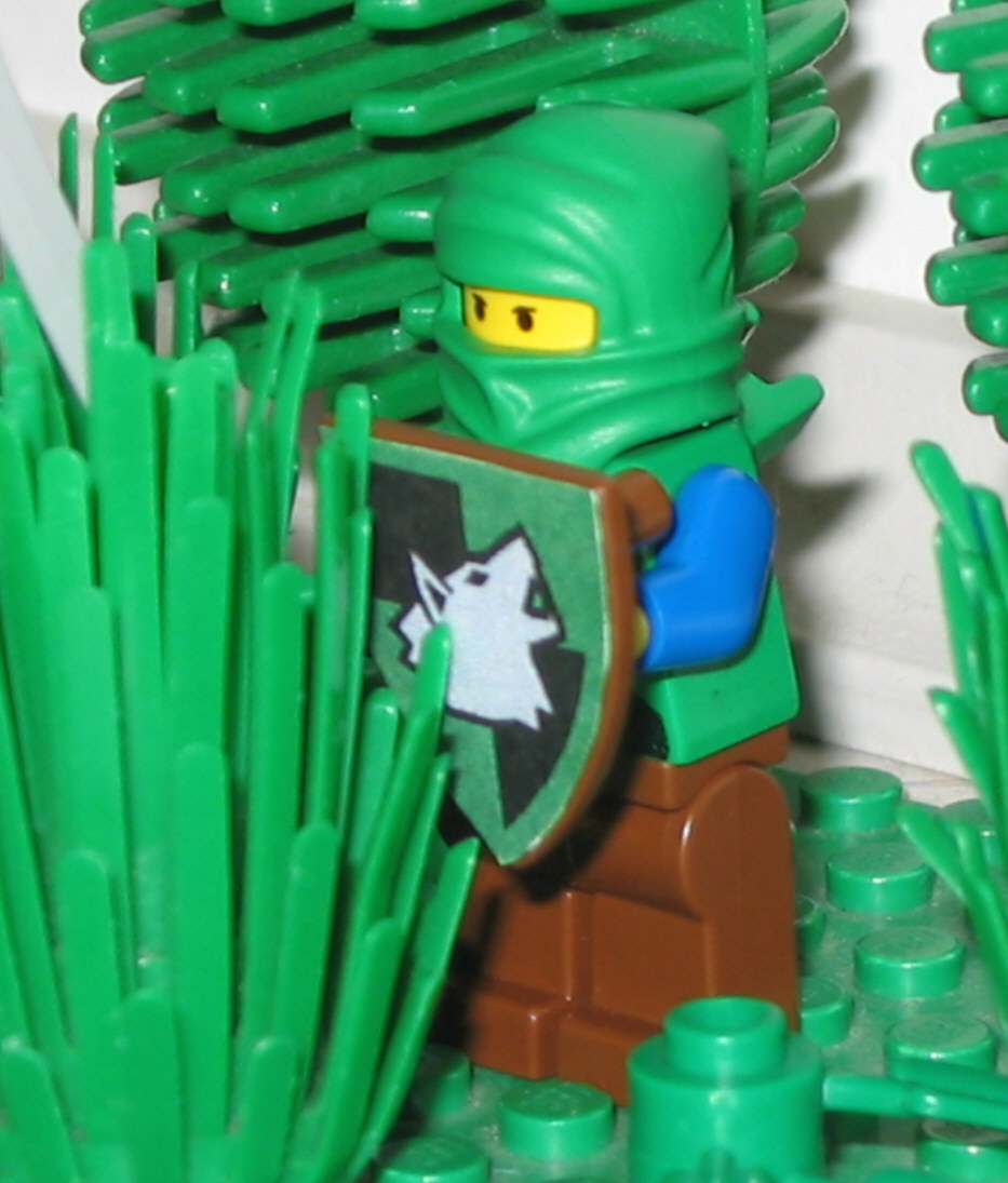 evergreenforester.jpg