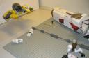 battle_2.1.jpg