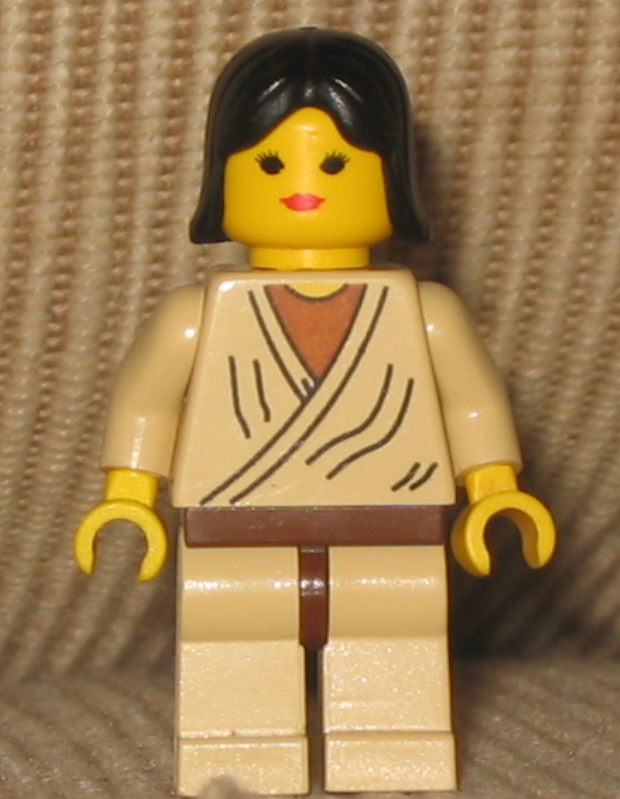 shimeskywalker.jpg