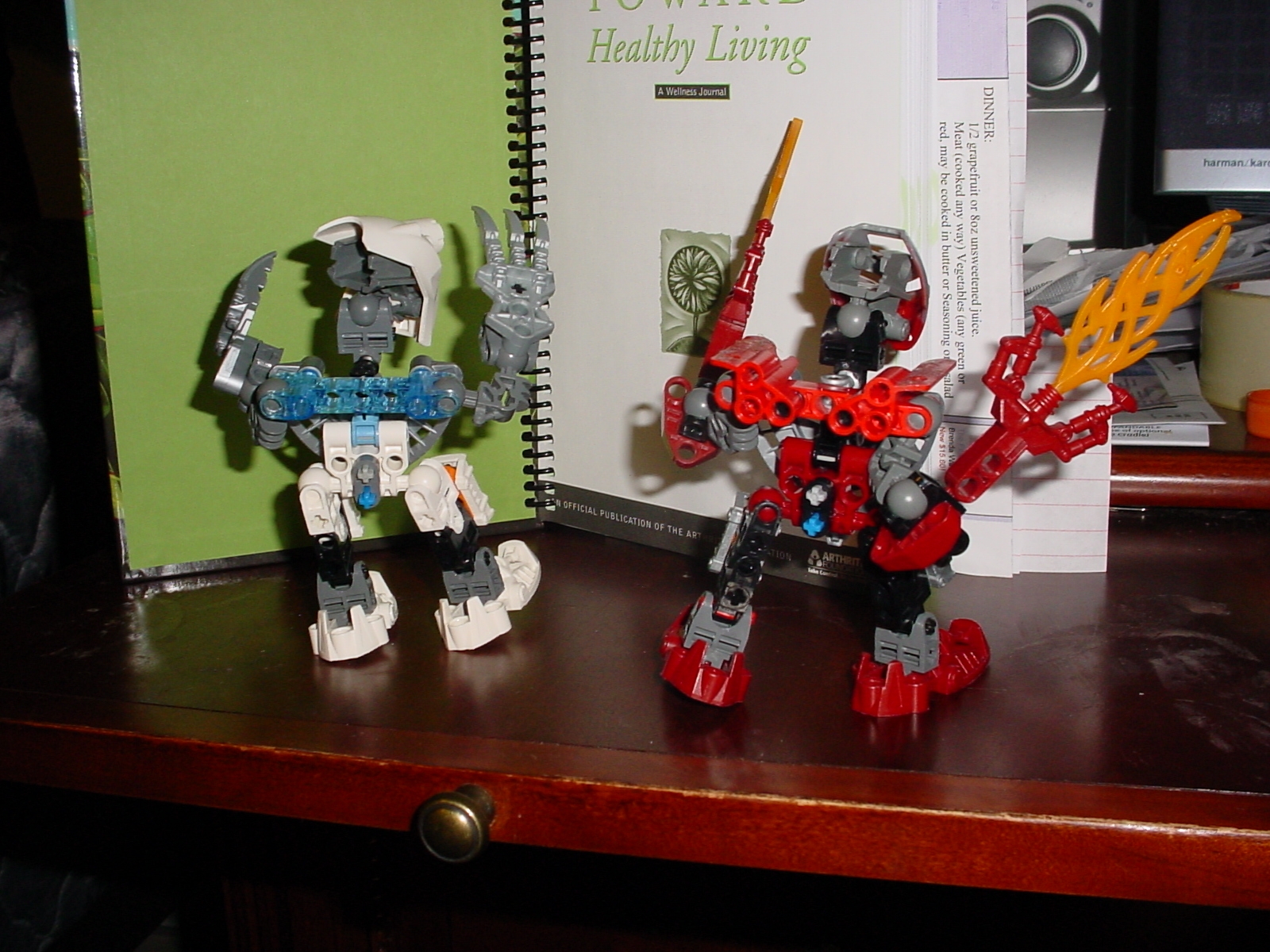 my__home_made_bionicles_017.jpg