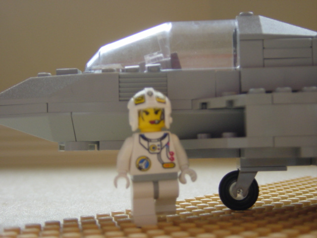 f22-9.jpg