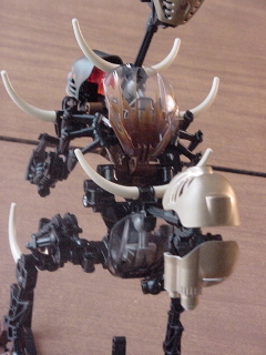 makuta-back.jpg