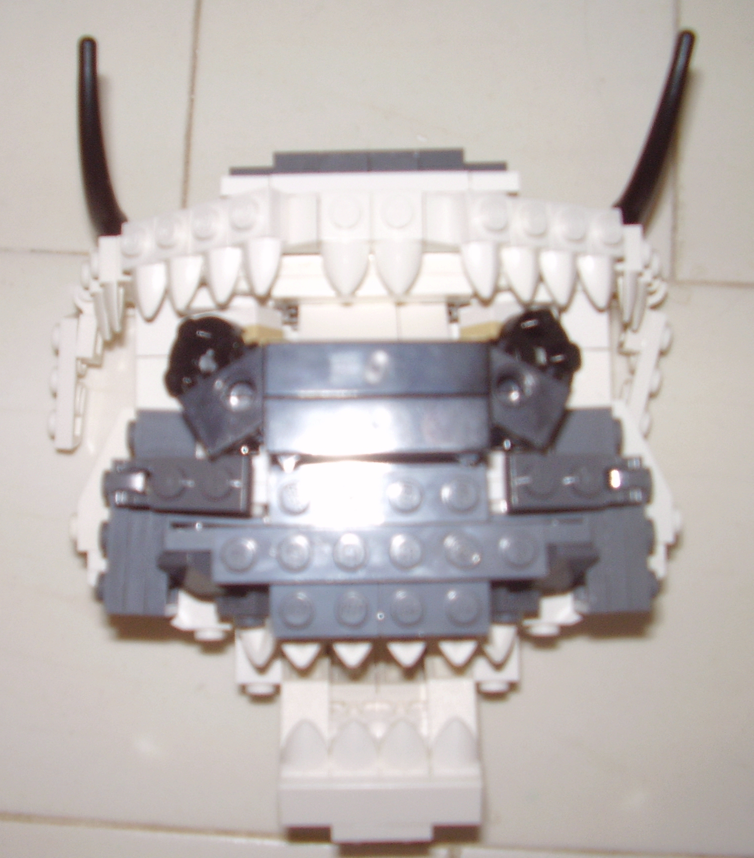 appa6.jpg