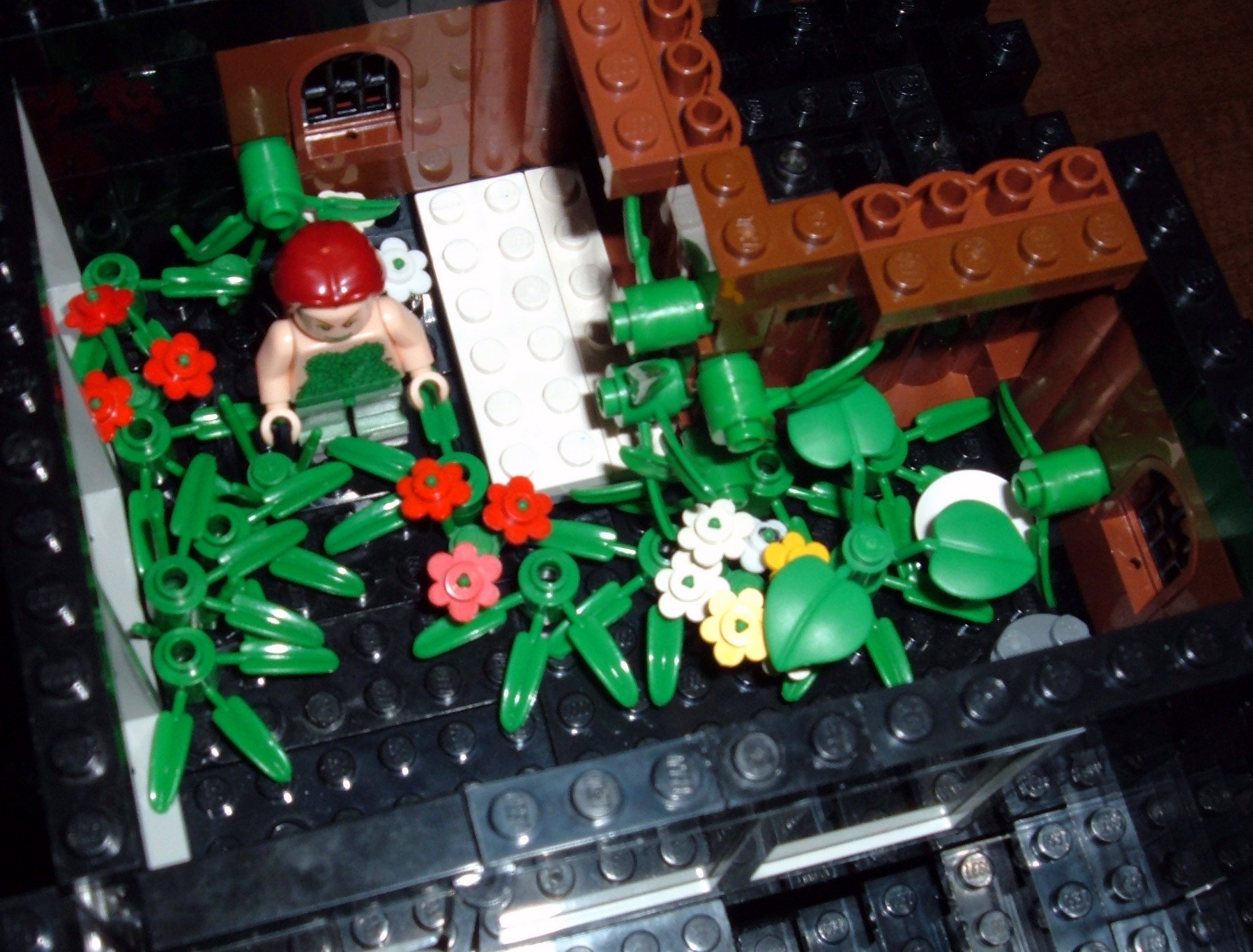 arkham-3-poison.jpg