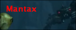 mantax.png