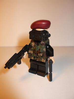 briksnaz_team_stealth.jpg