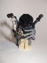 predator_2.jpg