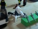 lego_004.jpg