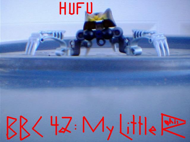 hufu_entry_pic.jpg