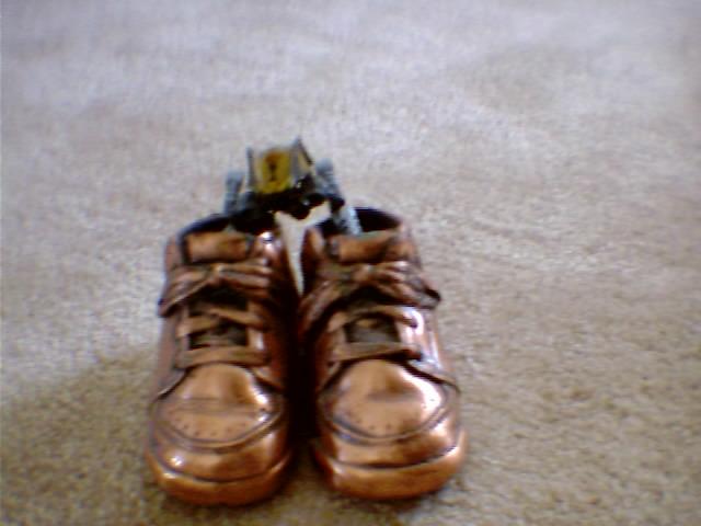 my_first_shoes.jpg