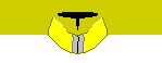 mandalorian_yellow_head.bmp
